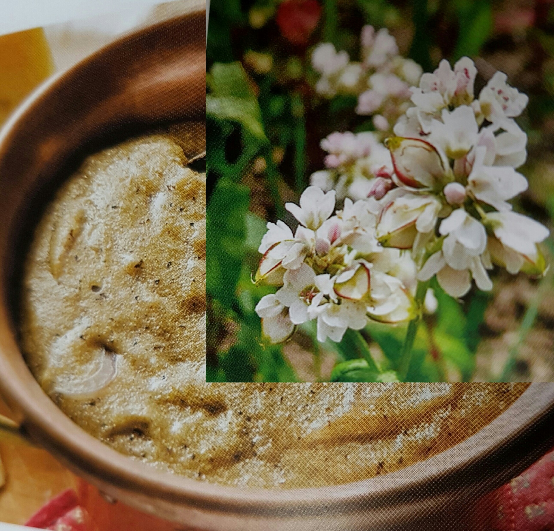 grano-saraceno-polenta.jpg