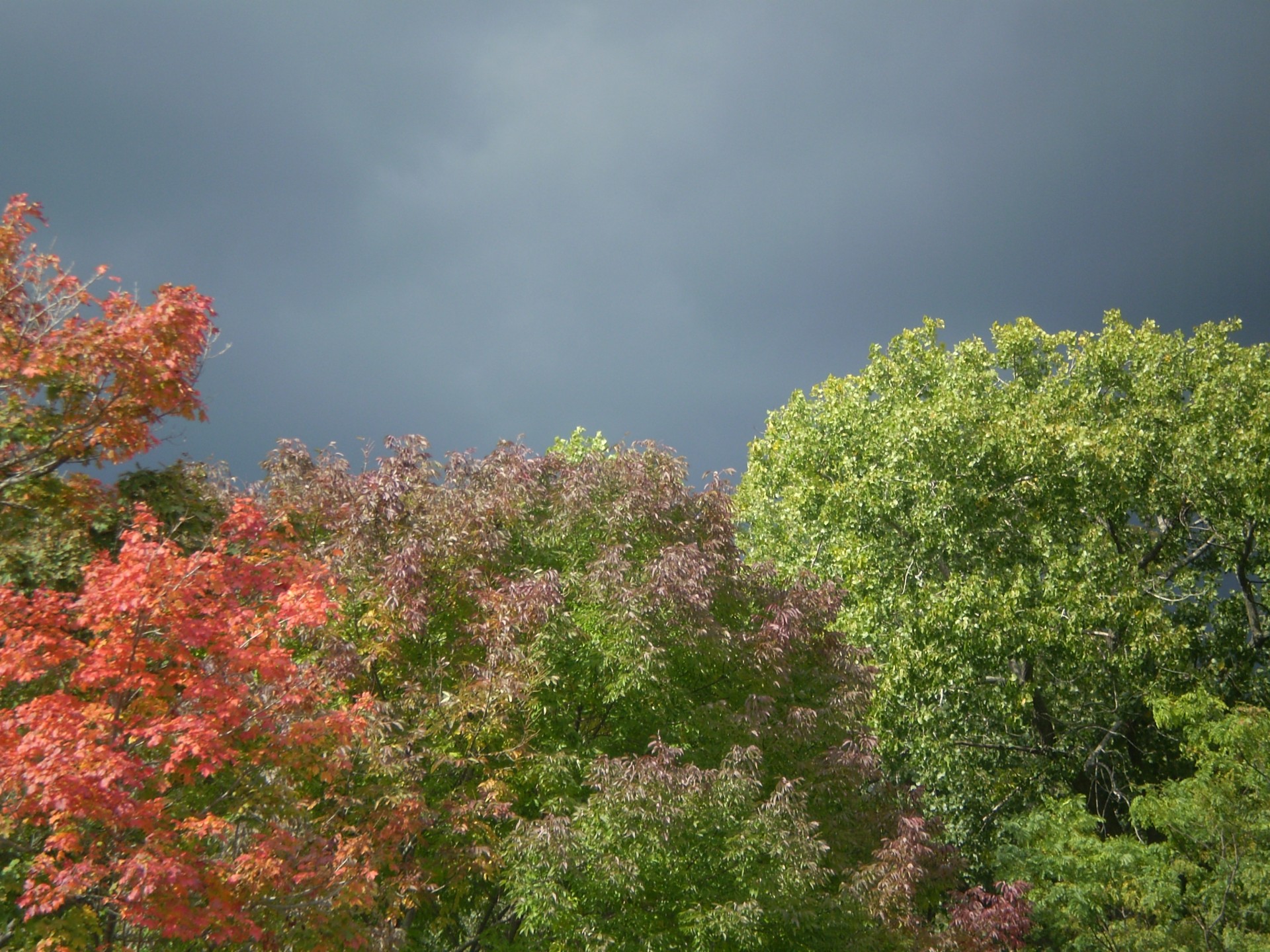 stupendo-aututnno.jpg